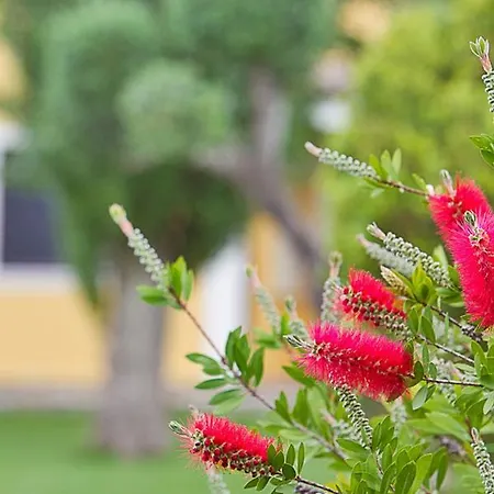 住宿加早餐酒店 夸特罗斯特尔住宿加早餐旅馆 3*