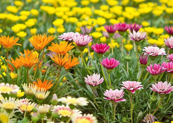 Quattrostelle Bed & Breakfast